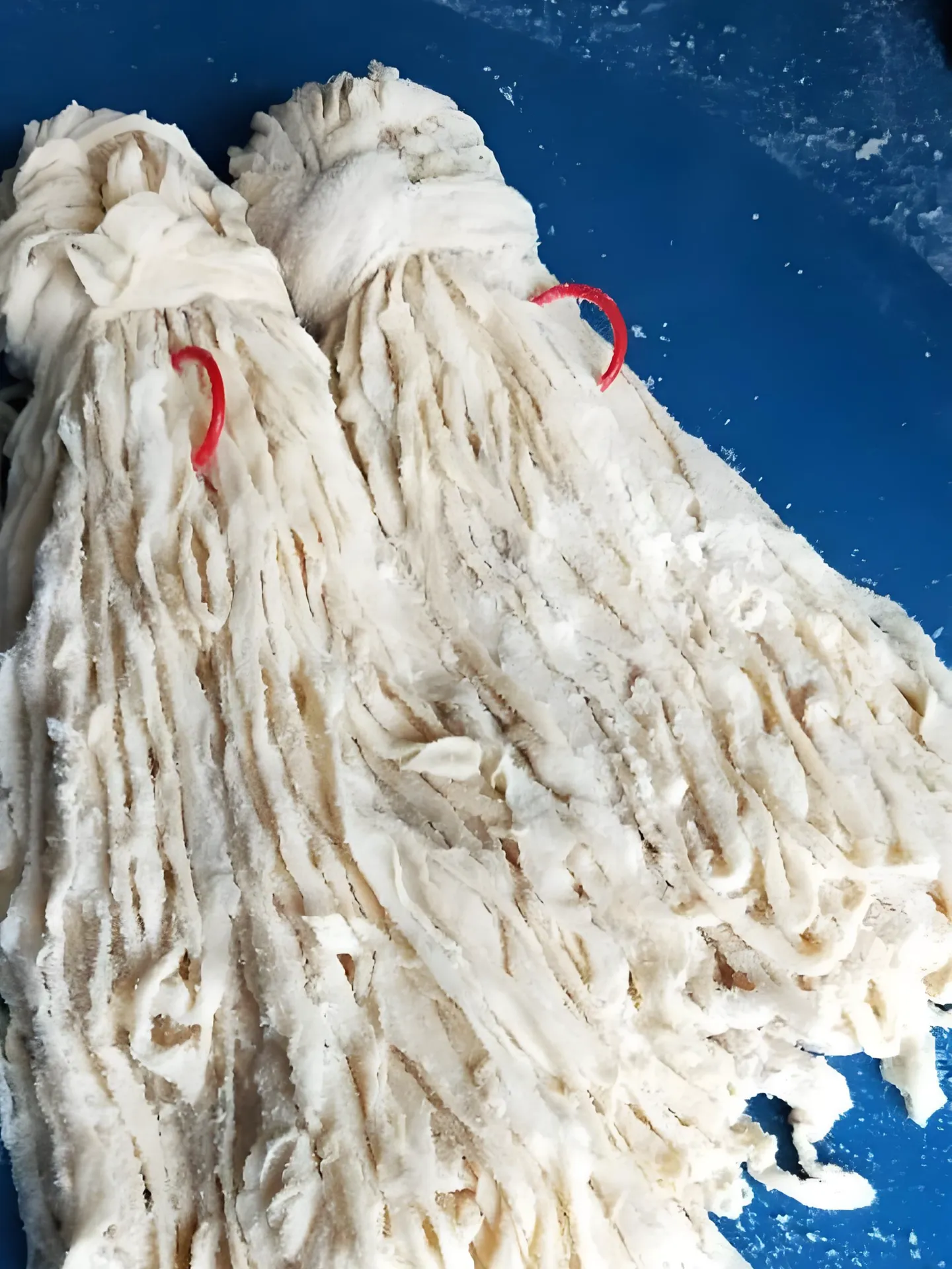 Salted Bundle