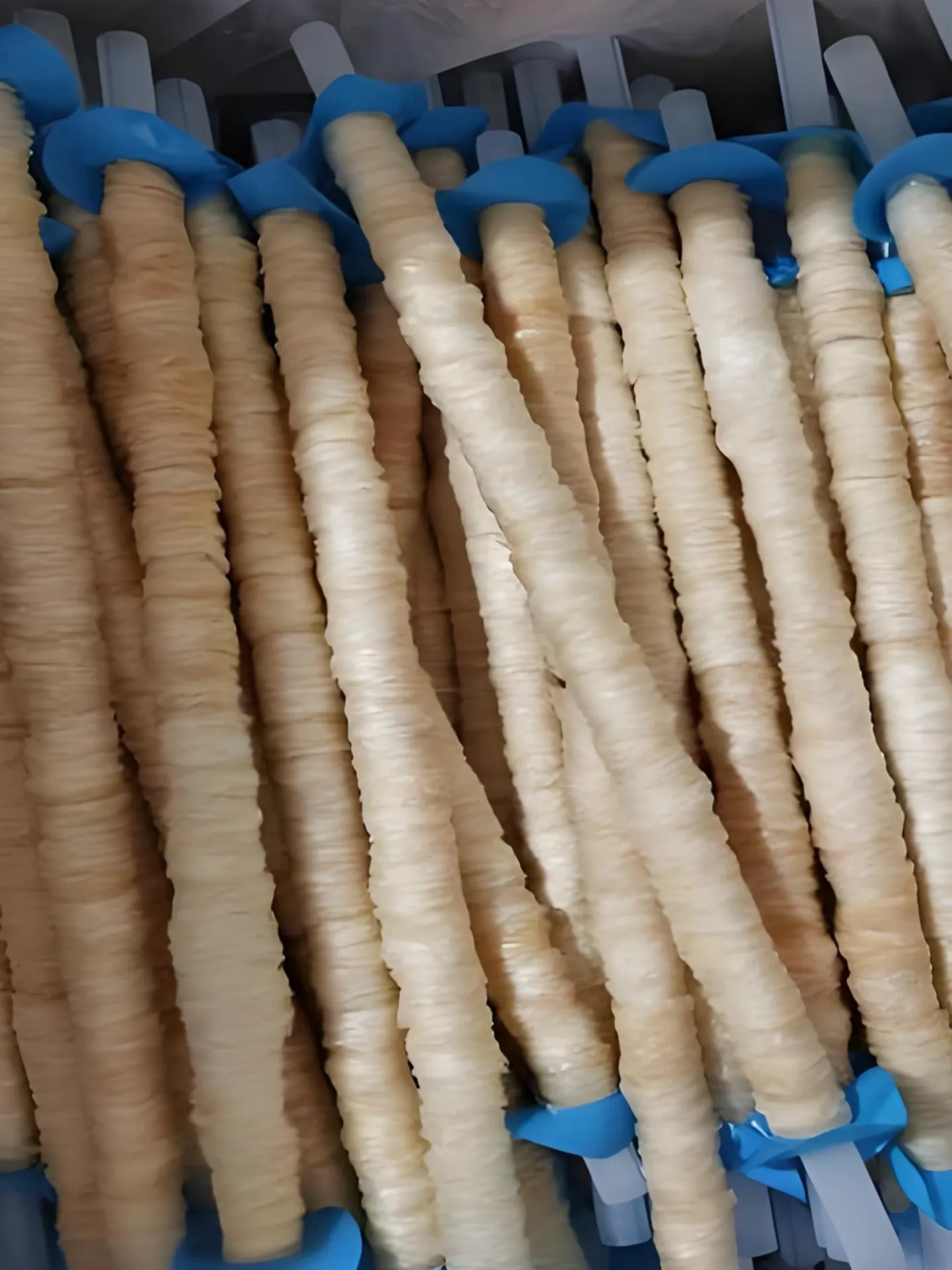 Dry-salted Casings